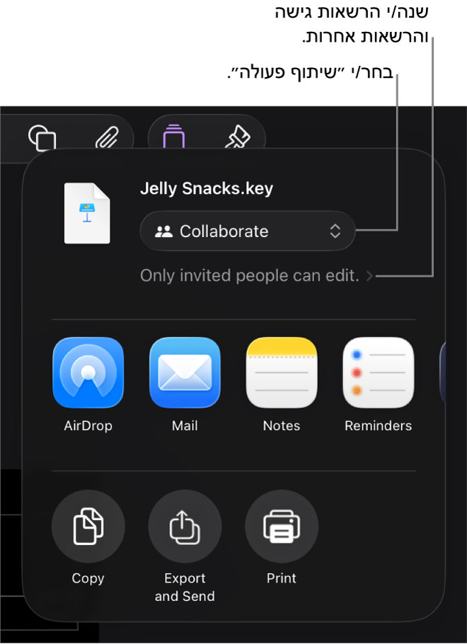 תפריט השיתוף כאשר האפשרות ״שיתוף פעולה״ נבחרת בחלק העליון ומתחתיה הגדרות הגישה וההרשאות.