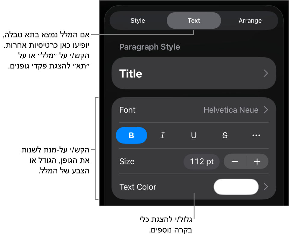 כלי בקרה של מלל בתפריט ״עיצוב״ להגדרת סגנונות, גופן, גודל וצבע עבור פיסקאות ותווים.