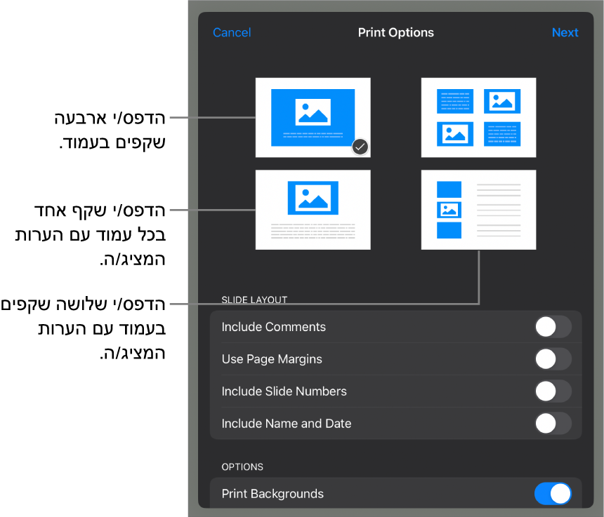 אפשרויות פריסת הדפסה.