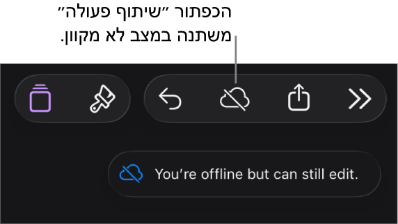 הכפתורים בראש המסך, עם הכפתור ״שיתוף פעולה״ שהשתנה לענן עם קו אלכסוני חוצה. התראה על המסך עם הכיתוב ״ניתן לערוך למרות שהמכשיר שלך לא מחובר לאינטרנט״.