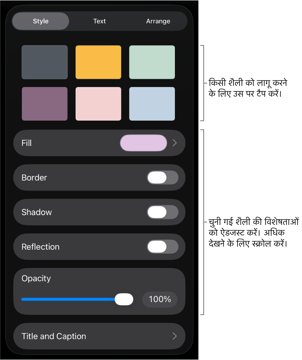 शीर्ष पर ऑब्जेक्ट शैलियों के साथ फ़ॉर्मैट करें मेनू की शैली टैब और उसके नीचे बॉर्डर, छाया, प्रतिबिंब और अपारदर्शिता को बदलने के लिए नियंत्रण।
