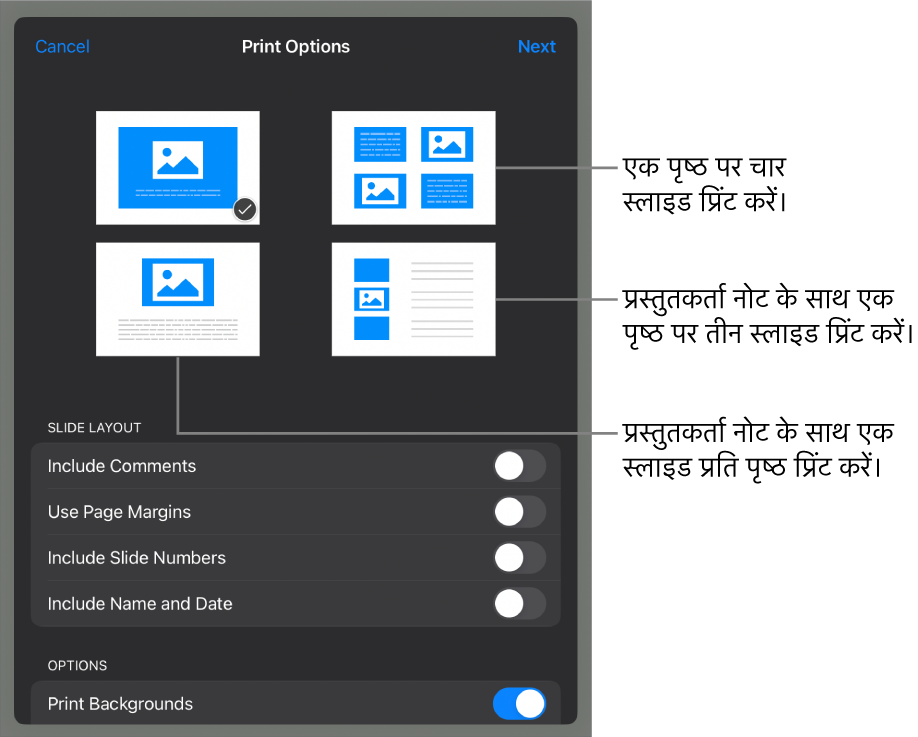 प्रिंट लेआउट विकल्प।
