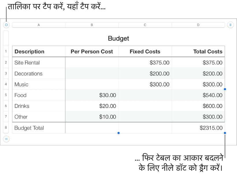 आकार बदलने के लिए नीले डॉट के साथ चुना हुआ टेबल।