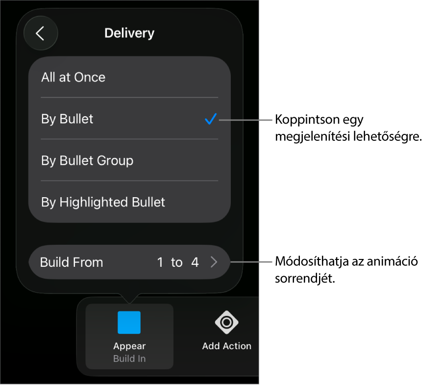 Végrehajtási beállítások a Belépés panelen.