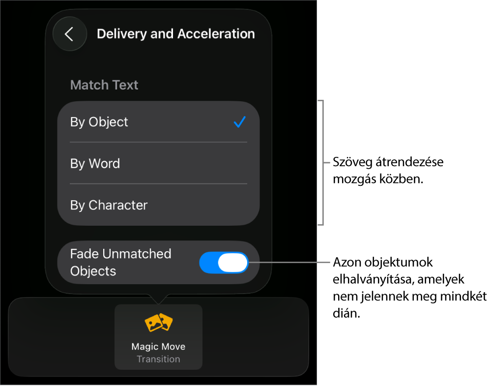 A Varázsmozgás végrehajtás és gyorsítás beállításai a Gyorsítás panelen
