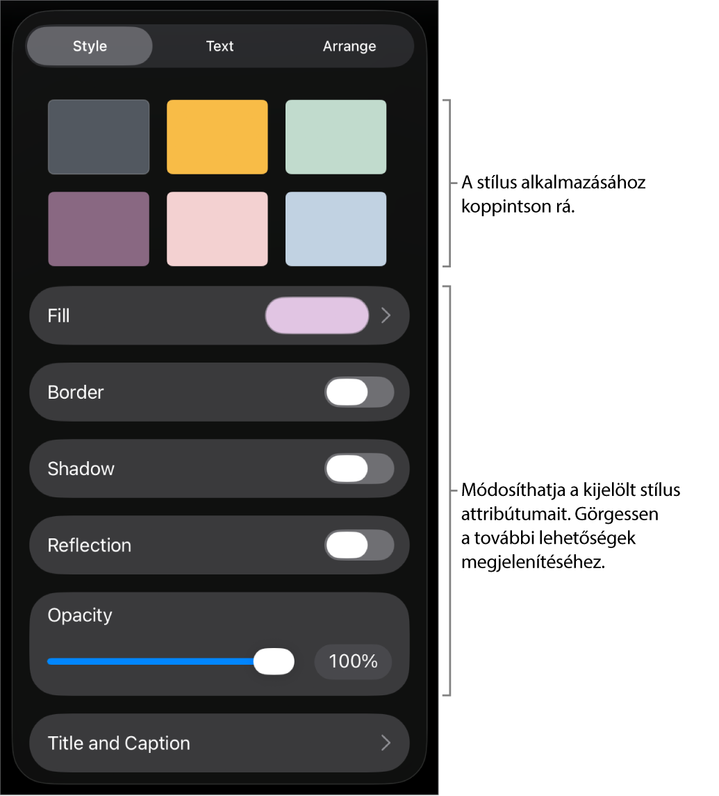 A Formátum menü Stílus lapja, felül az objektumstílusokkal, alattuk pedig a szegély, az árnyék, a tükröződés és az átlátszatlanság módosítására szolgáló vezérlőkkel.