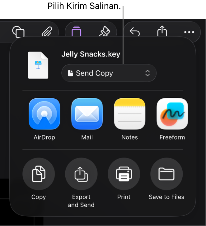 Menu Bagikan dengan Kirim Salinan dipilih di bagian atas.