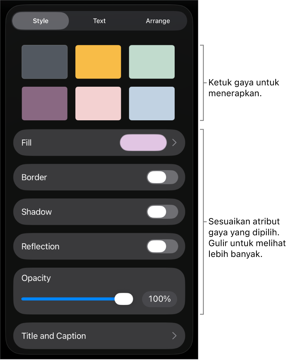 Tab Gaya menu Format dengan gaya objek di bagian atas dan kontrol di bawahnya untuk mengubah tepi, bayangan, refleksi, dan opasitas.