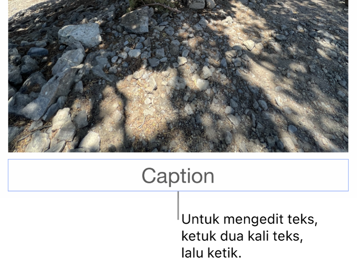 Teks placeholder, “Teks”, muncul di bawah foto; kerangka biru di sekitar bidang teks menampilkan bahwa objek dipilih.
