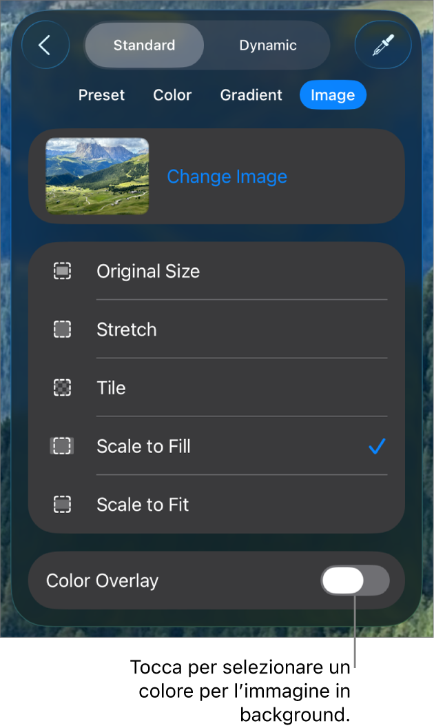 I controlli Sfondo, con un’immagine impostata come sfondo della diapositiva e il controllo “Sovrapposizione colore” nella parte inferiore.