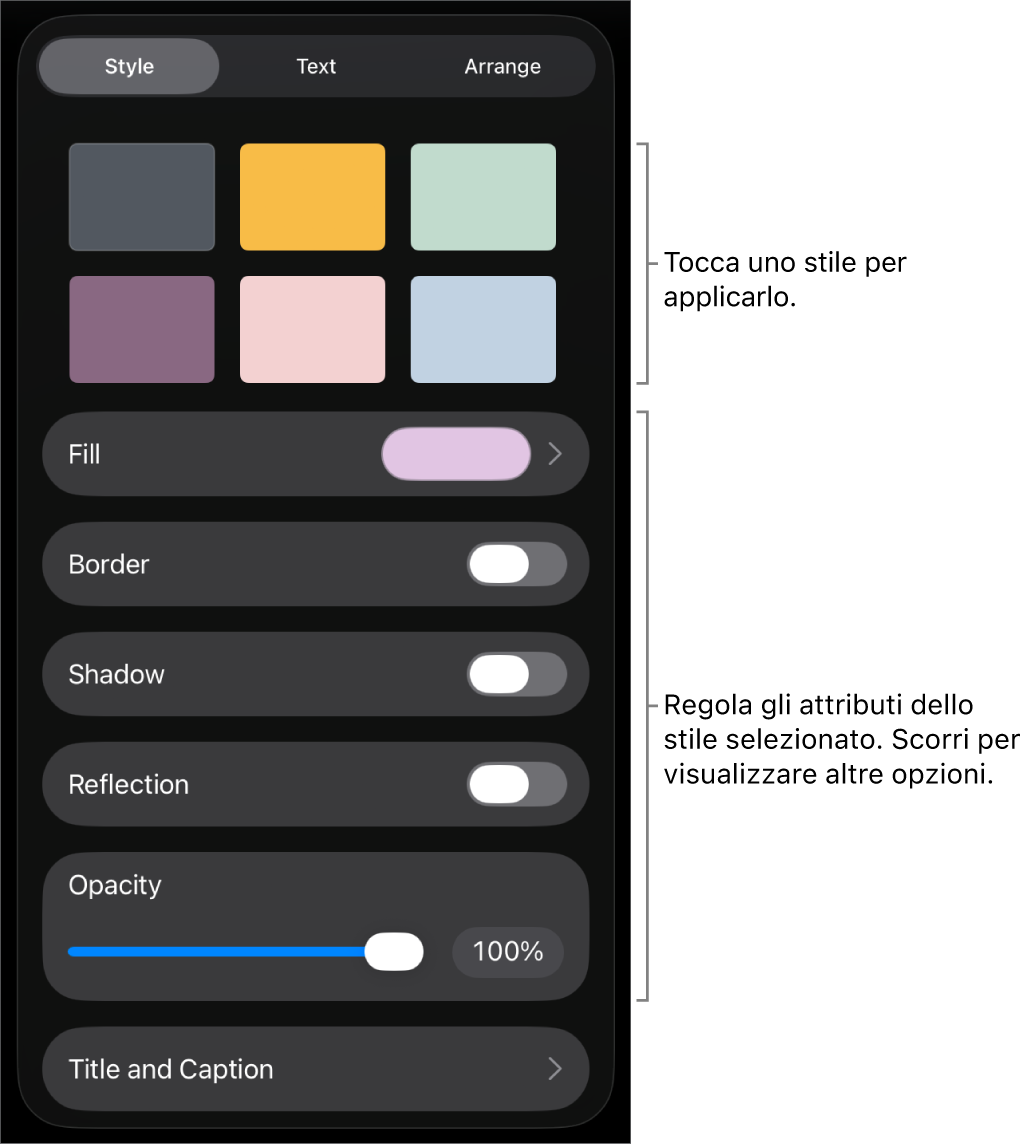 Pannello Stile del menu Formato con gli stili dell’oggetto in alto e un controllo sottostante per cambiare bordo, ombra, riflesso e opacità.
