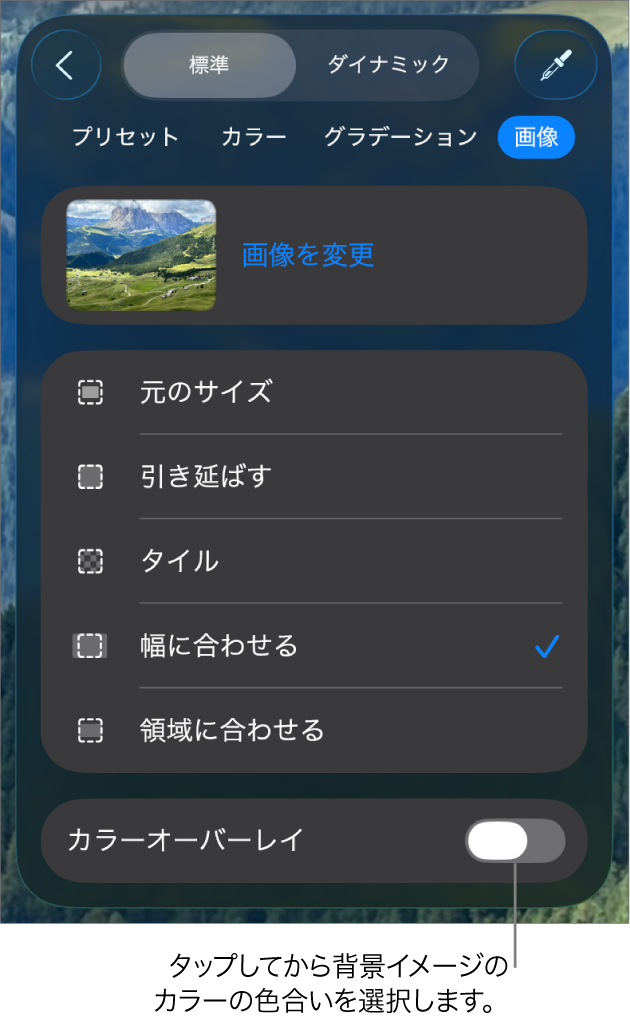 「背景」コントロール。画像がスライドの背景に設定されていて一番下に「カラーオーバーレイ」コントロールが表示されています。