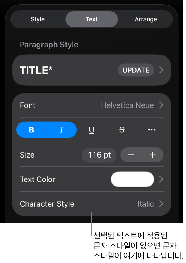 색상 제어기 아래 문자 스타일이 있는 텍스트 포맷 제어기. 문자 스타일 없음이 별표와 함께 표시됨.
