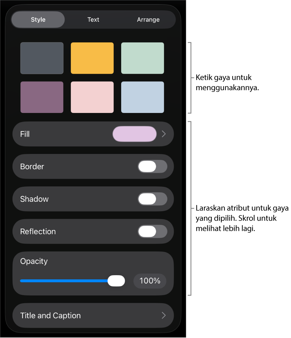 Tab Gaya menu Format dengan gaya objek di bahagian atas dan kawalan di bawahnya untuk menukar jidar, bayang, pantulan dan kelegapan.