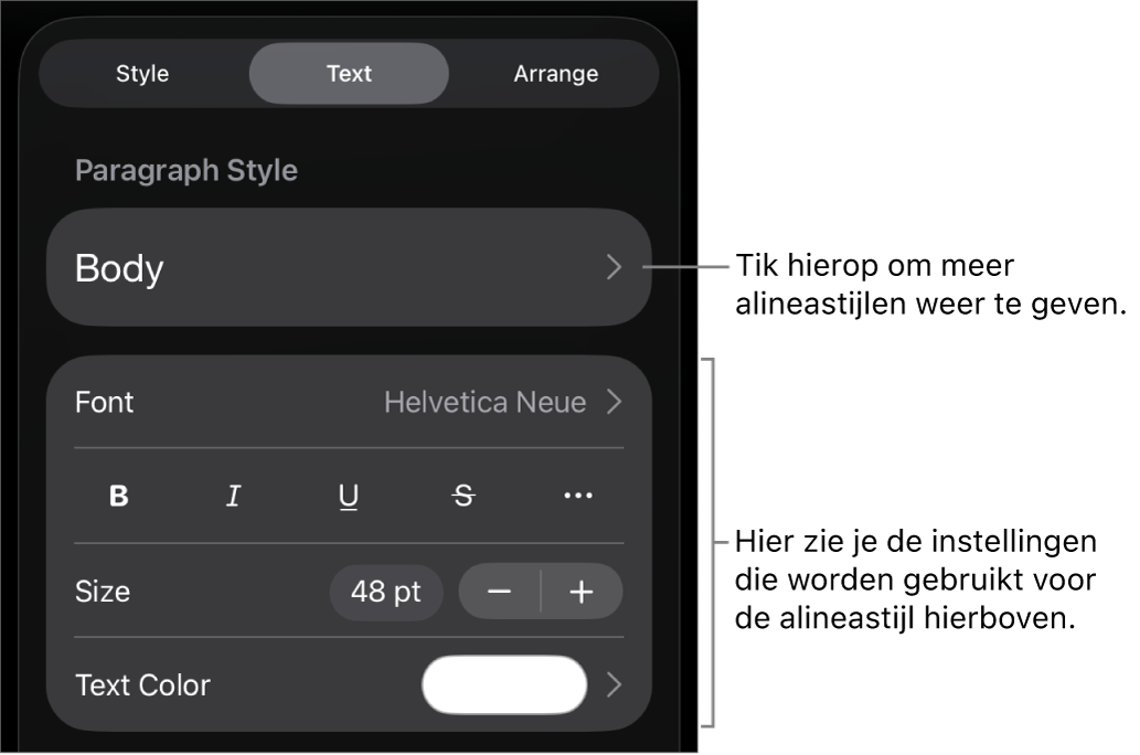 Het opmaakmenu met tekstregelaars voor het instellen van alinea- en tekenstijl, lettertype, lettergrootte en kleur.