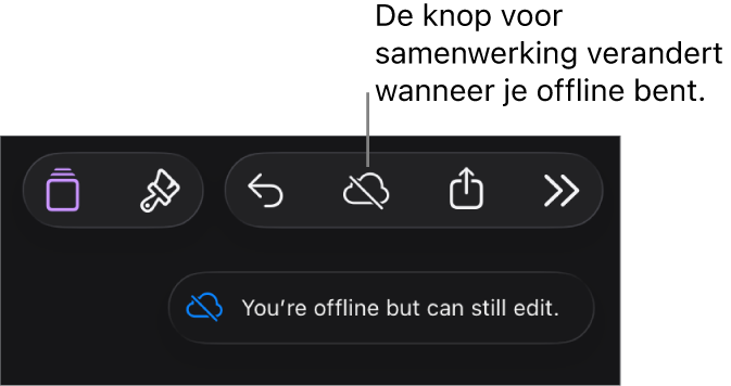 De knoppen boven in het scherm, met de knop voor samenwerking die is veranderd in een wolk met een schuine streep. De volgende melding staat op het scherm: 'Je bent offline, maar je kunt nog wel wijzigingen aanbrengen.'