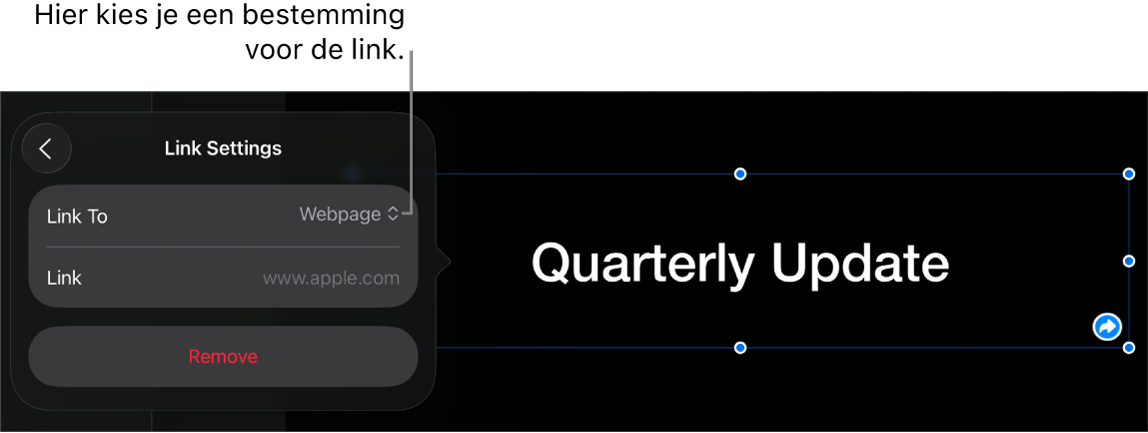 De regelaars voor linkinstellingen. 'Webpagina' is geselecteerd en onderaan staat de knop 'Verwijder'.