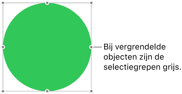 Een vergrendeld object met gedimde selectiegrepen.