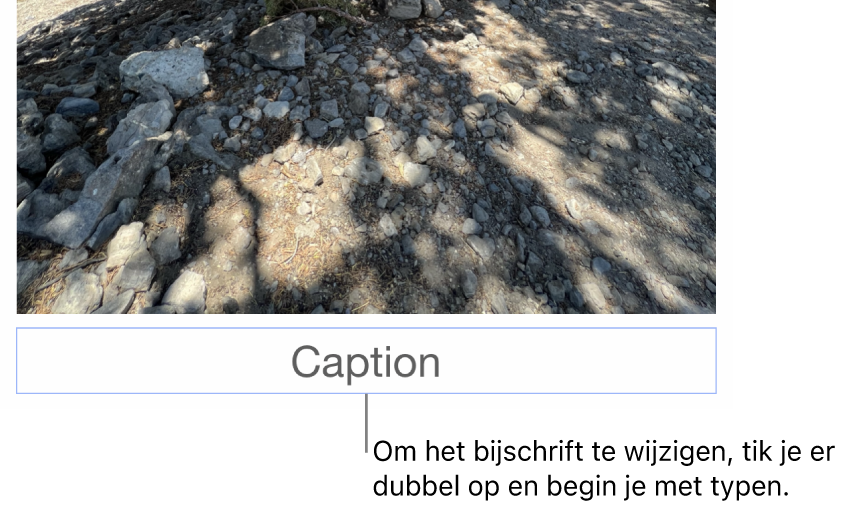 Onder een foto staat de plaatsaanduiding 'Bijschrift'. Een blauwe rand om het bijschriftveld geeft aan dat het geselecteerd is.