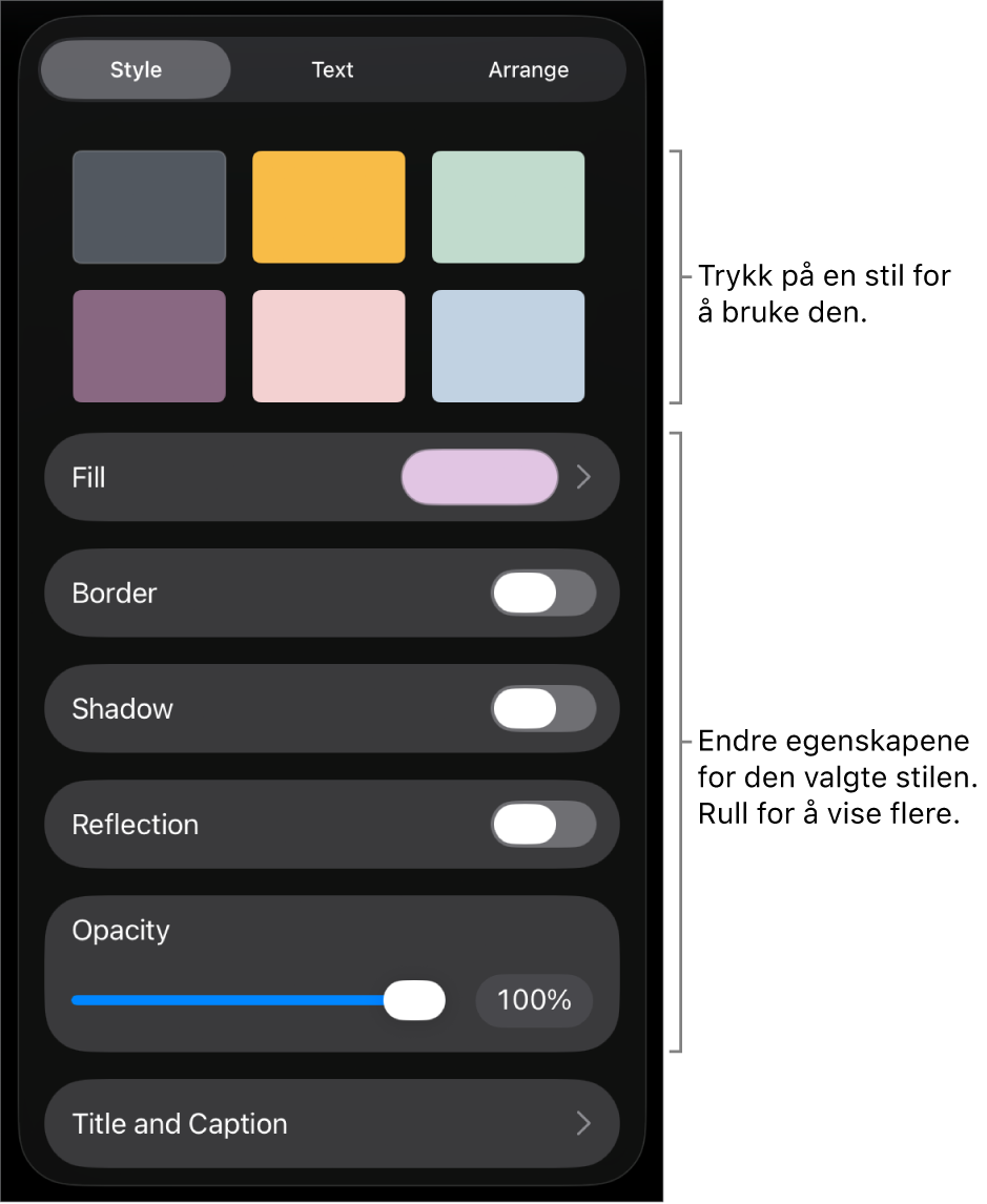 Stil-fanen i Format-menyen med objektstiler øverst og kontroller under dem for å endre kantlinje, skygge, refleksjon og opasitet.