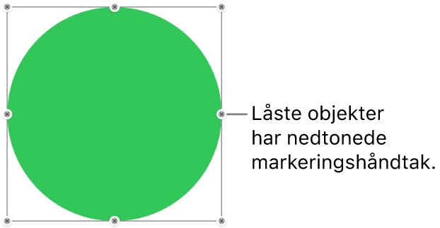 Et låst objekt med nedtonede markeringshåndtak.