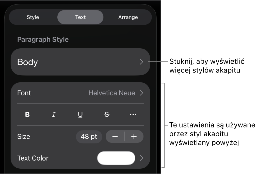 Menu Format z narzędziami tekstu pozwalającymi na ustawianie stylów akapitu, stylów znaków, czcionki, wielkości oraz koloru.