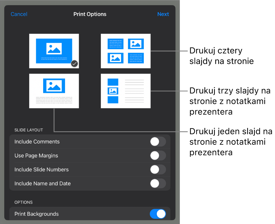 Opcje makiety wydruku.