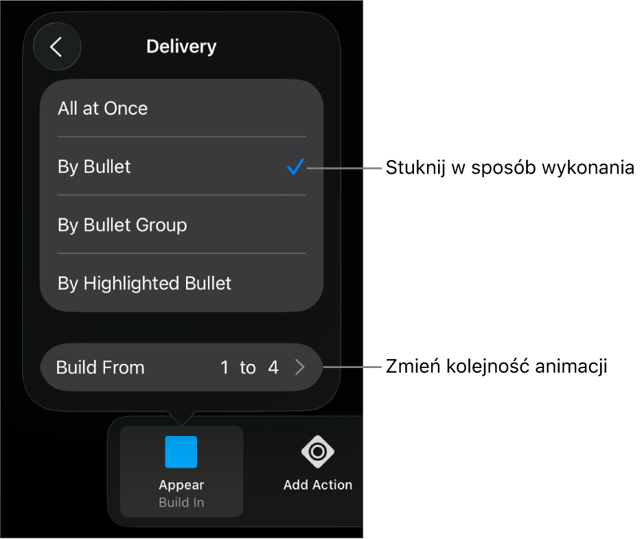 Opcje wykonania w panelu Wejście.