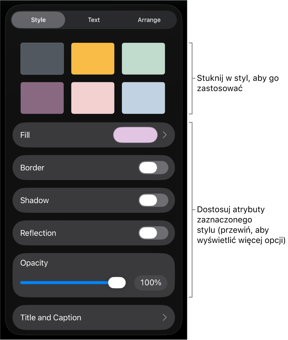 Karta Styl w menu Format, zawierająca na górze style obiektów, a poniżej narzędzia pozwalające na zmienianie obrysu, cienia, odbicia i krycia.