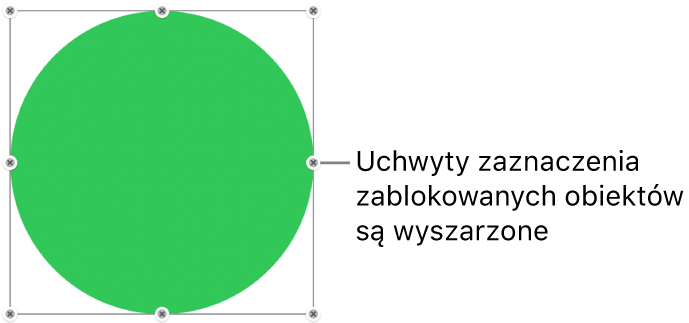 Zablokowany obiekt z wyszarzonymi uchwytami zaznaczenia.