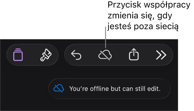 Przyciski znajdują się u góry ekranu; przycisk współpracy wyświetlany jest jako chmura przekreślona ukośną linią. Alert zawierający następującą informację: Brak połączenia z siecią, ale edycja nadal jest możliwa.