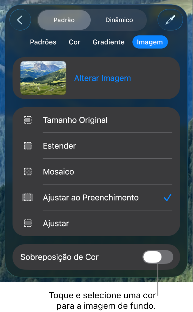 Controles de Fundo com uma imagem definida como fundo do slide e o controle “Sobreposição de Cor” na parte inferior.