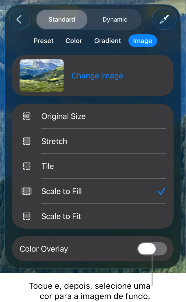 Os controlos de fundo, com uma imagem definida como o fundo do diapositivo e o controlo “Sobreposição de cor” na parte inferior.