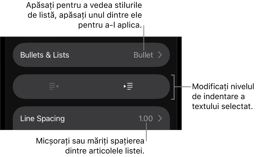 Secțiunea Marcatori/liste din comenzile Format cu explicații pentru Marcatori/liste, butoanele de indentare și indentare exterioară, precum și comenzile pentru spațierea liniilor.