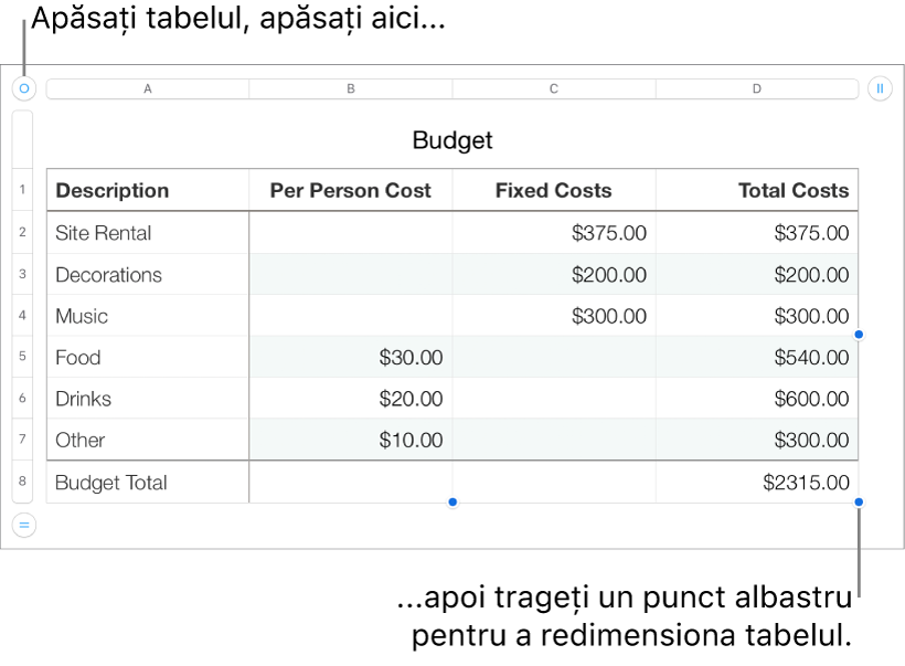 Un tabel selectat, cu puncte albastre pentru redimensionare.