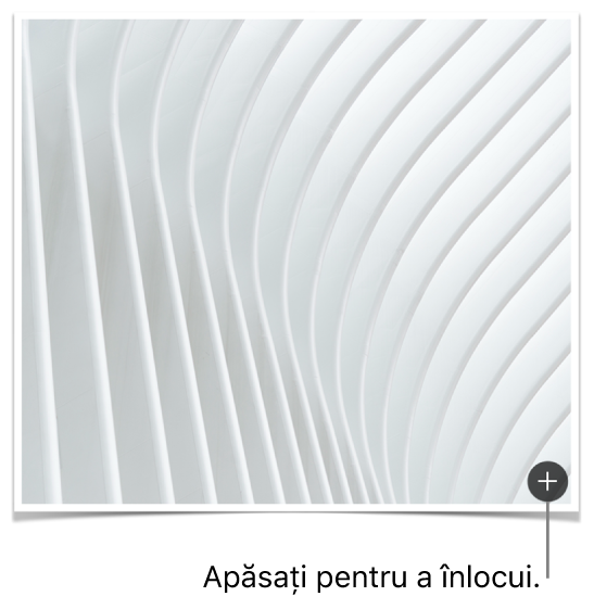 Imagine cu butonul Înlocuiți imaginea.