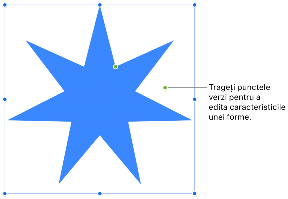 O formă cu mânere de selecție.