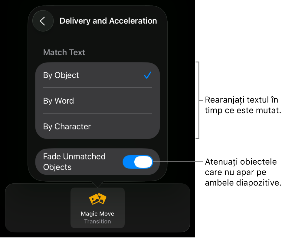 Opțiunile de livrare și accelerare Mutare magică din panoul Accelerare.