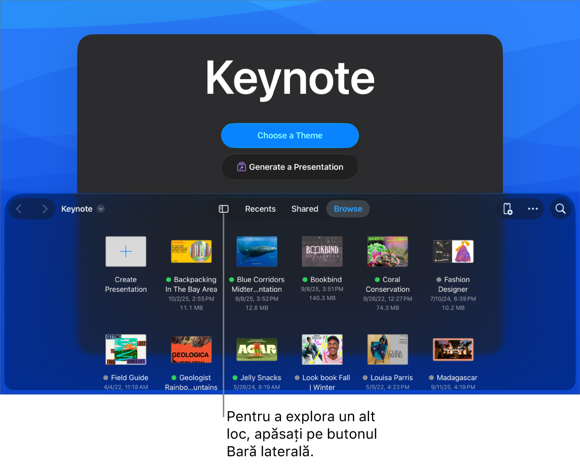 Vizualizarea de explorare a gestionarului de documente cu butonul Bară laterală în colțul din stânga sus. În dreapta sus se află butonul Adaugă, butonul Dosar nou, butonul Pictograme (pentru sortare după nume, dată, dimensiune sau etichetă), butonul Selectează și butonul Căutare. Sub acestea se află miniaturile prezentărilor existente.