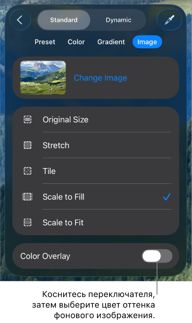 Показаны элементы управления фоном; в качестве фона слайда выбрано изображение, в нижней части расположен элемент управления «Наложение цвета».