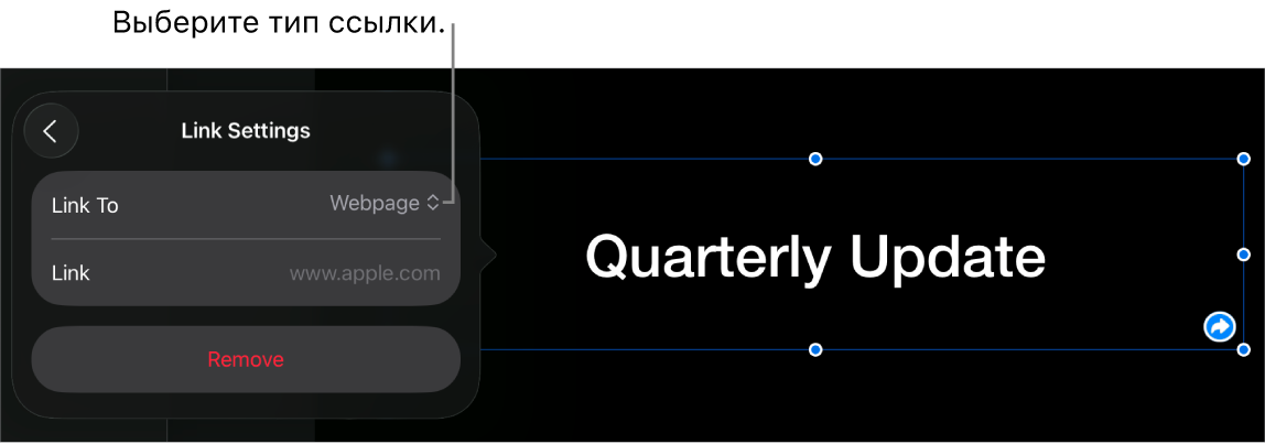 Элементы управления «Настройки ссылки»; выбран элемент «Веб-страница». В нижней части экрана показана кнопка «Удалить».