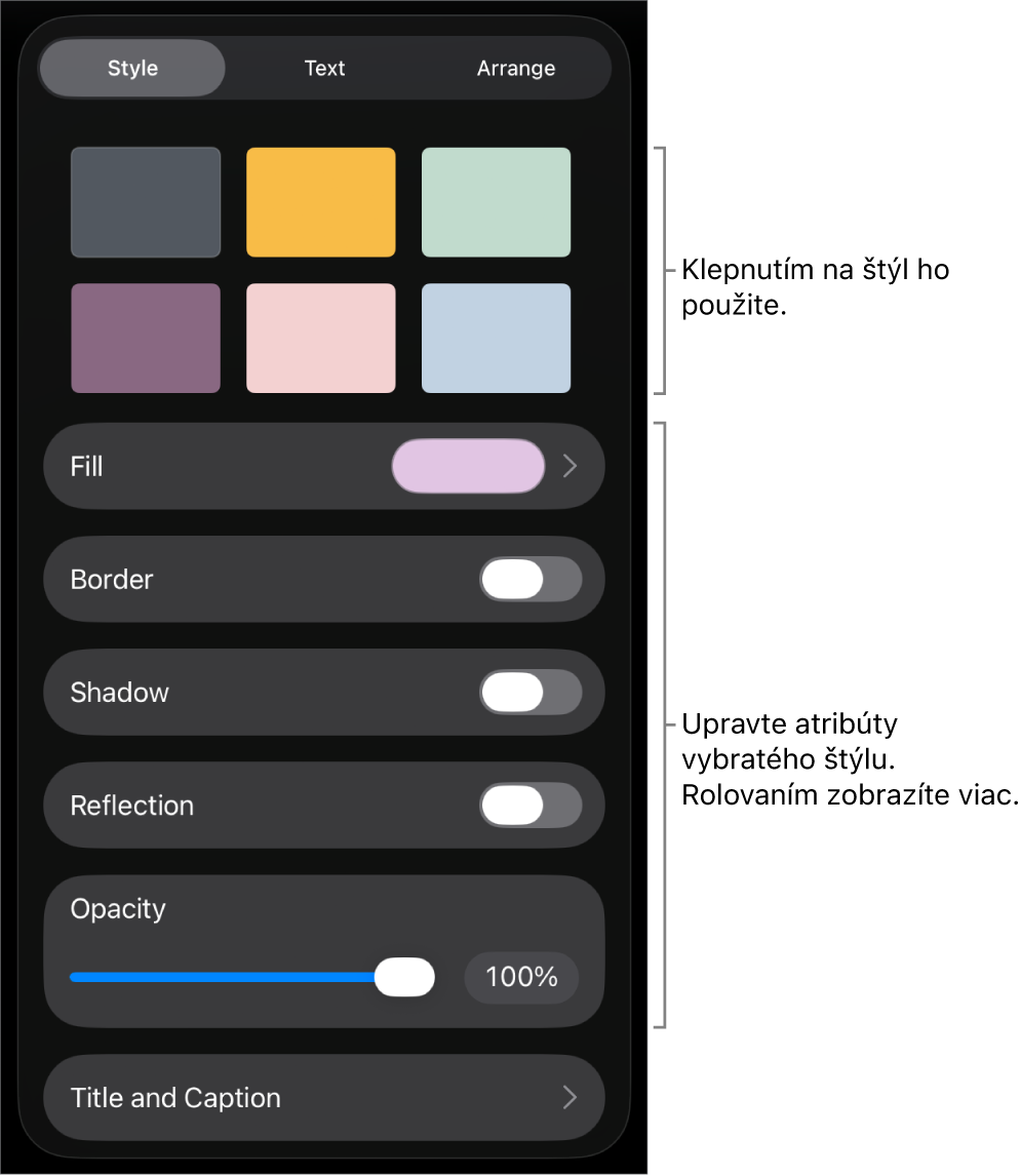 Záložka Štýl menu Formát so štýlmi objektov v hornej časti a ovládacími prvkami pod nimi s možnosťou zmeny okraja, tieňa, odrazu a priehľadnosti.
