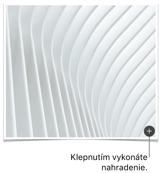 Obrázok s tlačidlom Nahradiť obrázok.