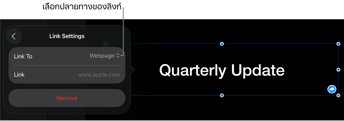 ตัวควบคุมการตั้งค่าลิงก์ที่มีหน้าเว็บถูกเลือกอยู่ และปุ่มเอาออกที่ด้านล่างสุด