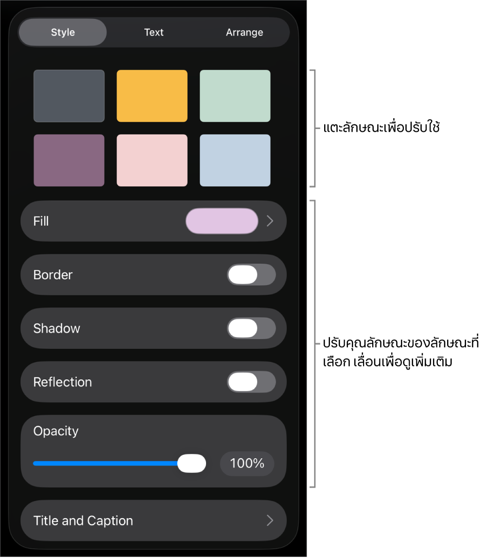 แถบลักษณะของเมนูรูปแบบที่มีลักษณะวัตถุอยู่ด้านบนสุดและตัวควบคุมสำหรับเปลี่ยนเส้นขอบ เงา การสะท้อน และความทึบ อยู่ด้านล่าง