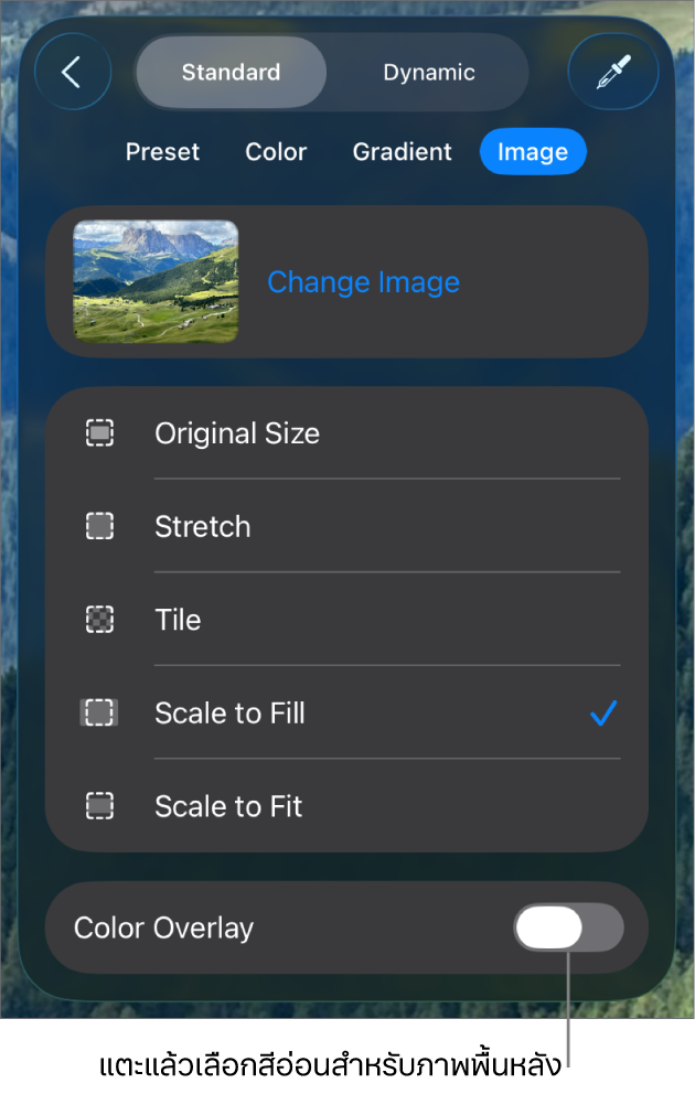 ตัวควบคุมพื้นหลัง โดยที่ภาพถูกตั้งค่าเป็นพื้นหลังของสไลด์ และตัวควบคุมการทับซ้อนสีอยู่ด้านล่างสุด