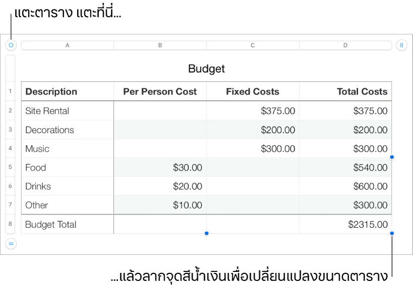 ตารางที่เลือกอยู่พร้อมจุดสีน้ำเงินสำหรับปรับขนาด