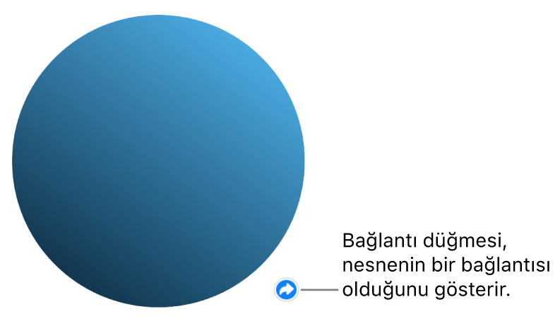 Zincirli daire düğmesi, nesnenin bir bağlantısı olduğunu belirtir.