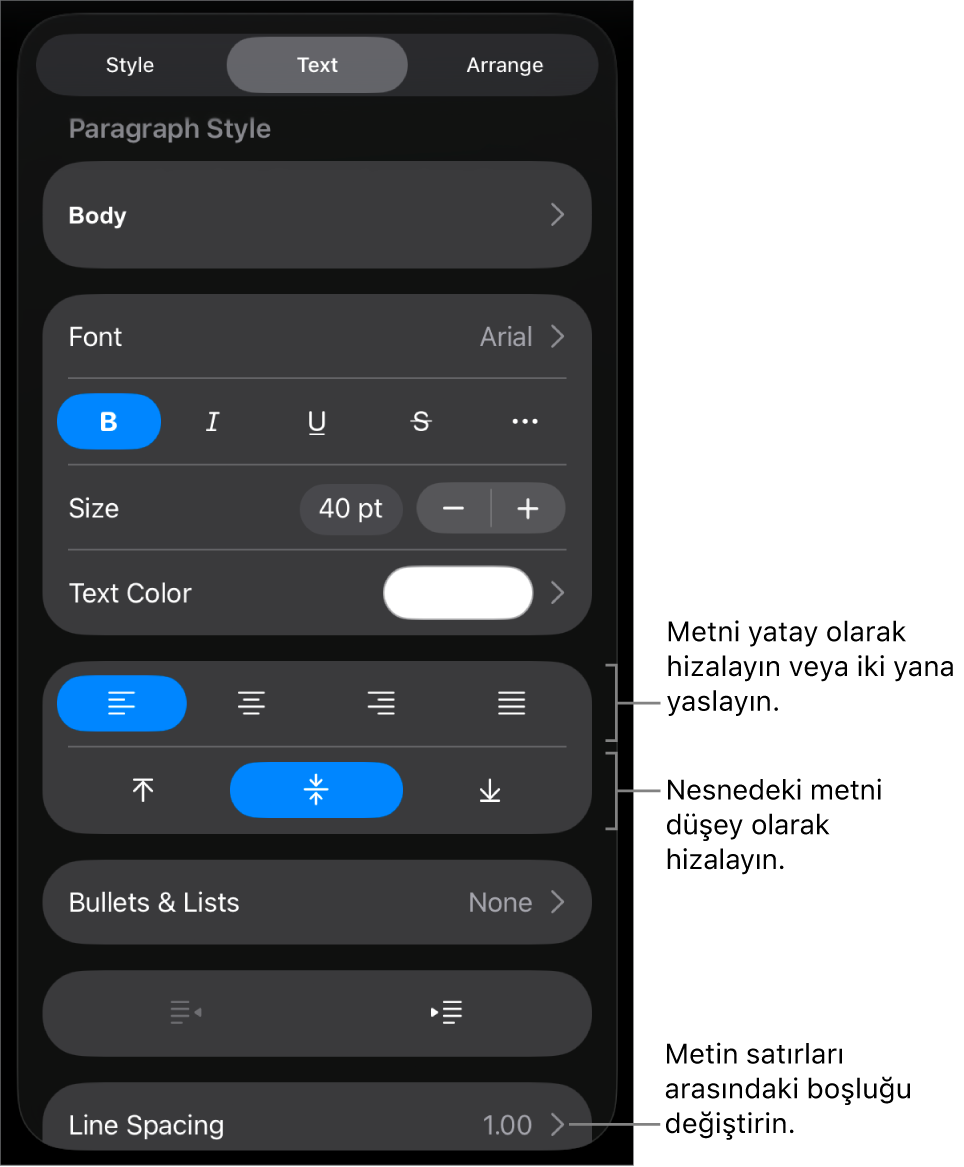 Metin hizalama ve aralık düğmelerine belirtimler gösteren Yerleşim bölmesi.