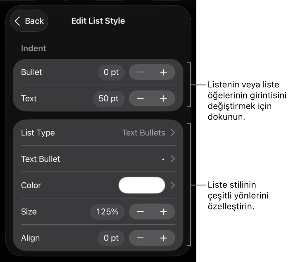 Listenin türünü ve görünüşünü düzenleme denetimleriyle Liste Stilini Düzenle menüsü.